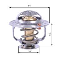 TH43880G1 GATES - TERMOSTAT 